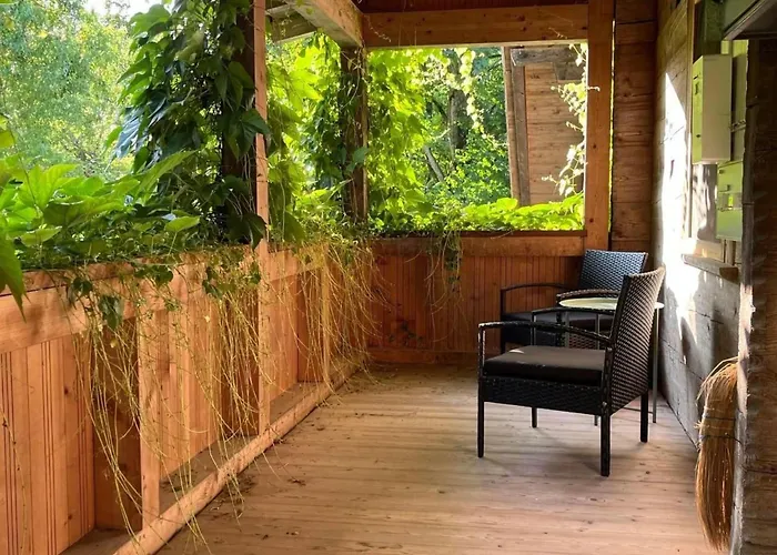 Hébergement de vacances Alpen Lotus By Interhome *