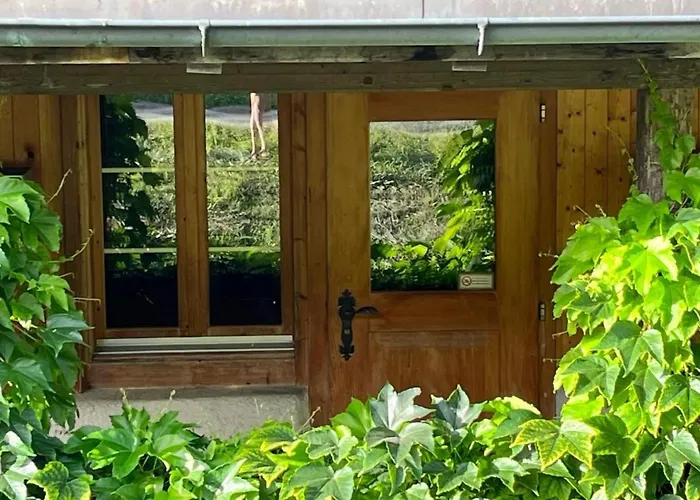 Alpen Lotus By Interhome Holiday home Innertkirchen