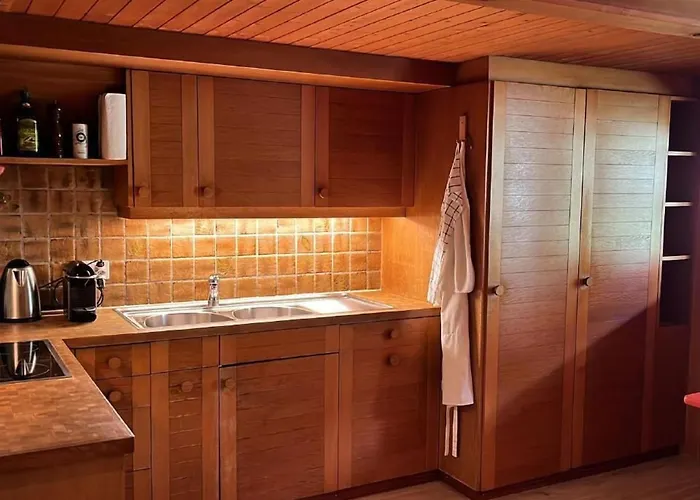 Alpen Lotus By Interhome * אינרטקירכן